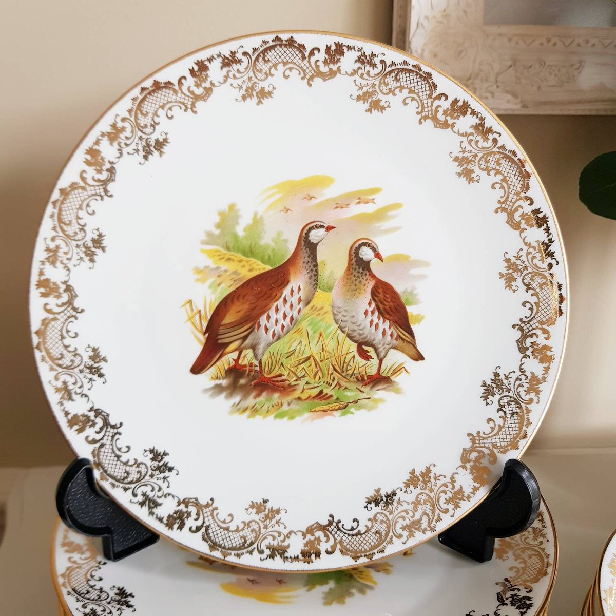 oGoodieShop's tweet image. #VintagePlate #PastryPlates Vintage French Authentic Porcelain Plates, Made in France
etsy.me/393Vvlw