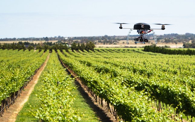 BaskAerospace's tweet photo. Are drones taking over netting in crop protection and bird management? 🐦
Read about how the tech competes here: https://t.co/gqLpyduj23 https://t.co/hipVh203nQ