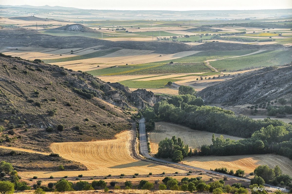 AgricultorCast's tweet photo. Es viernes. Buenos días. https://t.co/clfWeuwMfR