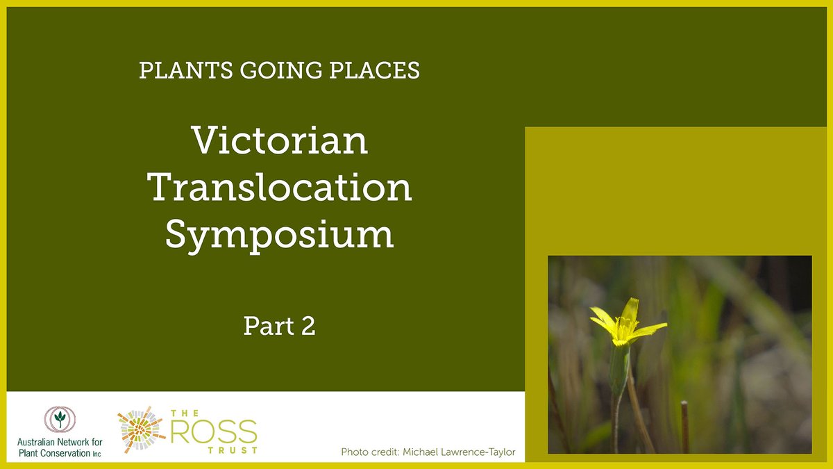 The recording of last week’s Victorian Translocation Symposium is now available and includes some great discussions on why you need your socks when working with fungi, urban mistletoe and saving a species with a Goldilocks complex. youtu.be/hEkkl0e3Cxc