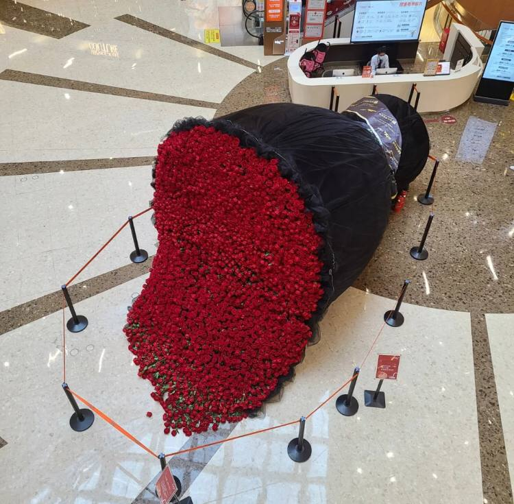 pepsras's tweet photo. This is probably the gift every girl wants. https://t.co/OY2DckqbXp