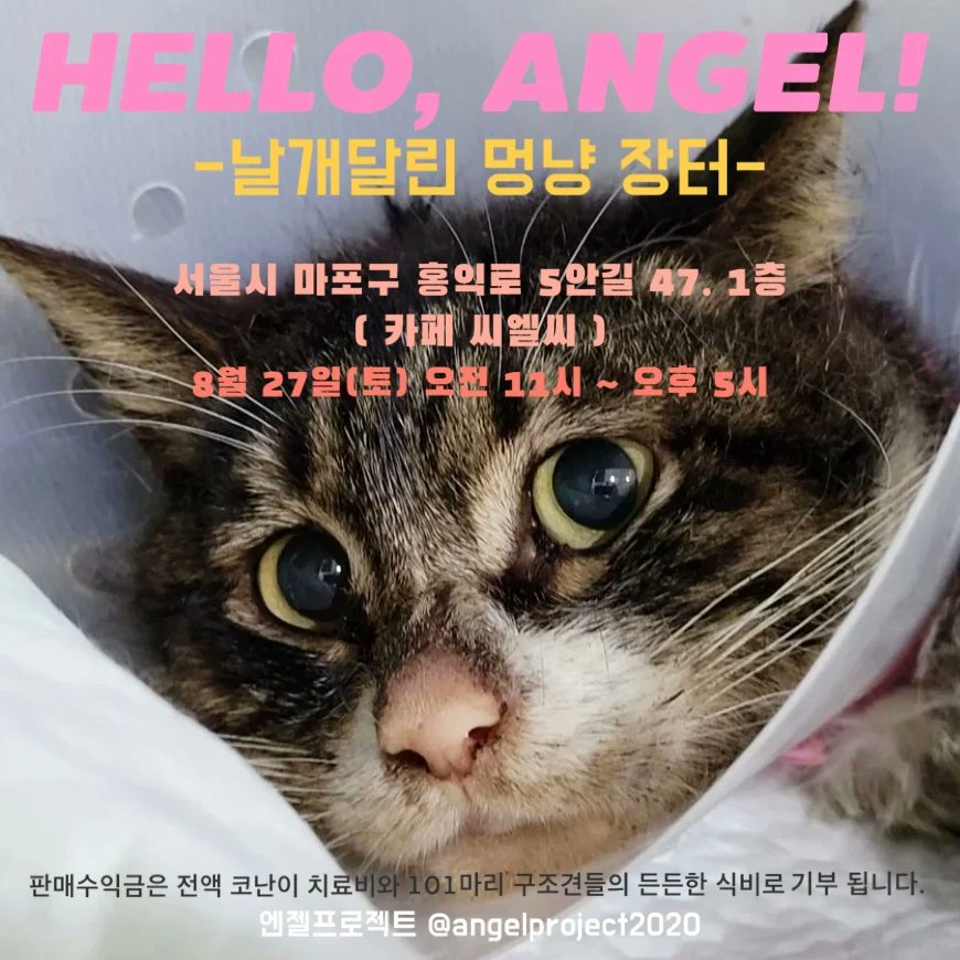 Hyeyounkim3's tweet photo. 코난이 돕기 바자회에 많은 물품 기부 기다립니다 https://t.co/xrC4ffBJtf
