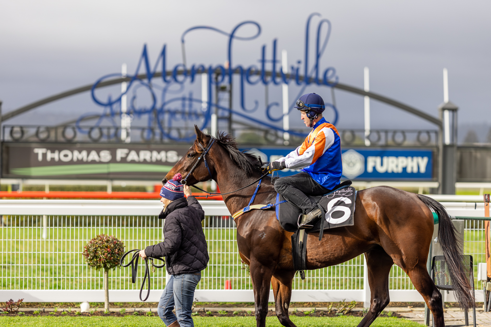 Racing SA on Twitter "We saw some G1 quality at this morning's trials