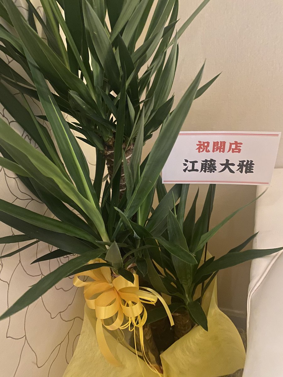 mukuwareru1's tweet photo. BARぶれいこう
オープン祝いで沢山の花いただきました！
ありがとうございます😭 https://t.co/aBVVwUDWs0