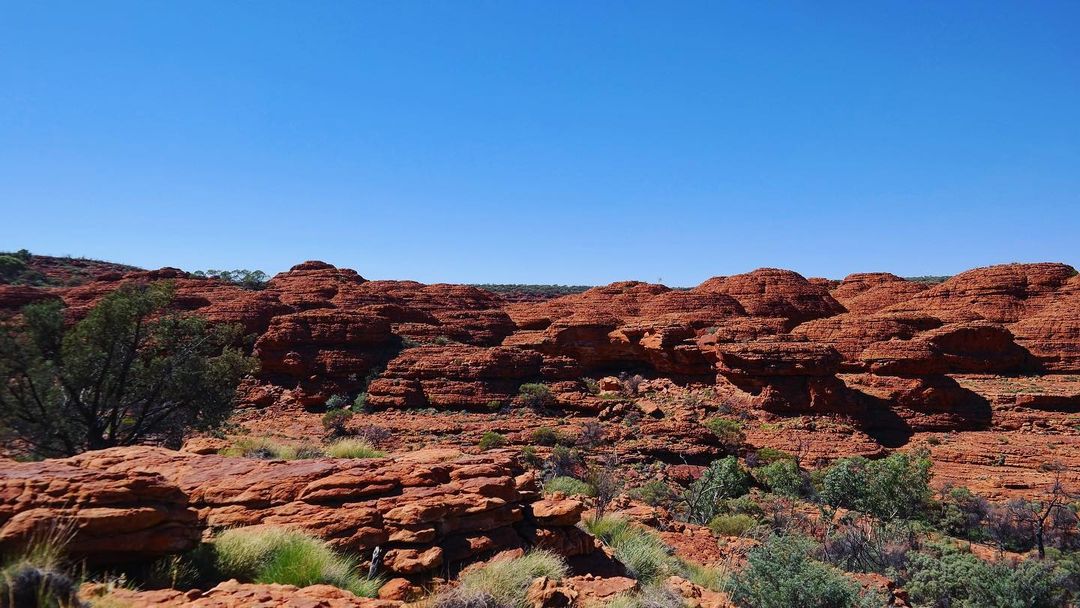 VisitCentralAus's tweet photo. How stunning are these views around Kings Canyon? These ancienct domes located on the top of the canyon, look like a village of houses with one of the most stunning outback views to look out to. 

Thanks to @lesbeanflannel for tagging us in your holiday snaps! https://t.co/5mELDfPEet