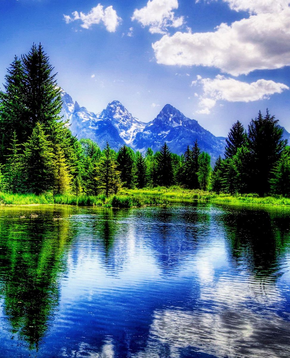 Tina Koskima 🕊️ (@lovesongs4peace) on Twitter photo 