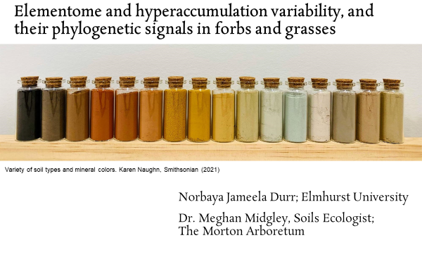 NorrBaye's tweet photo. I'm so proud of the work I've been conducting in the Soils Ecology lab, with Meghan Midgley during this year's REU program! #elementome #soils #hyperaccumulation #prairieplants #forbs #grasses #restoration #phylogeny #treeoflife #functionaltraits https://t.co/ngtvDDHkSy