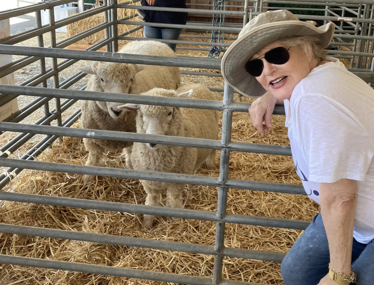 SharonGless's tweet photo. My Basque-immigrant ancestors raised thousands of sheep in the Los Angeles Valley  area 5 generations ago.  I think I met some distant cousins at the Orange County fair yesterday. The Gless girls! https://t.co/UIKW2Knwgf
