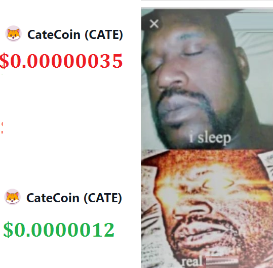 CateCoin tweet media