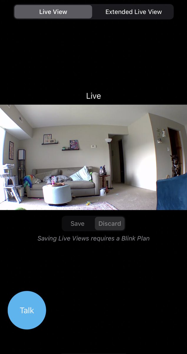 cameronmcc_'s tweet photo. I tried speaking to Maple through my camera for the first time today &amp; I won’t be trying it again https://t.co/FsaWWAHdUR