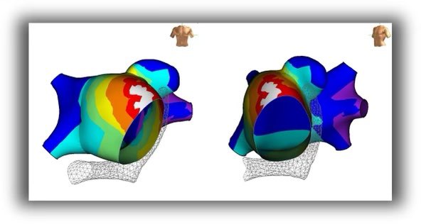 Brandon Mukai tweet media