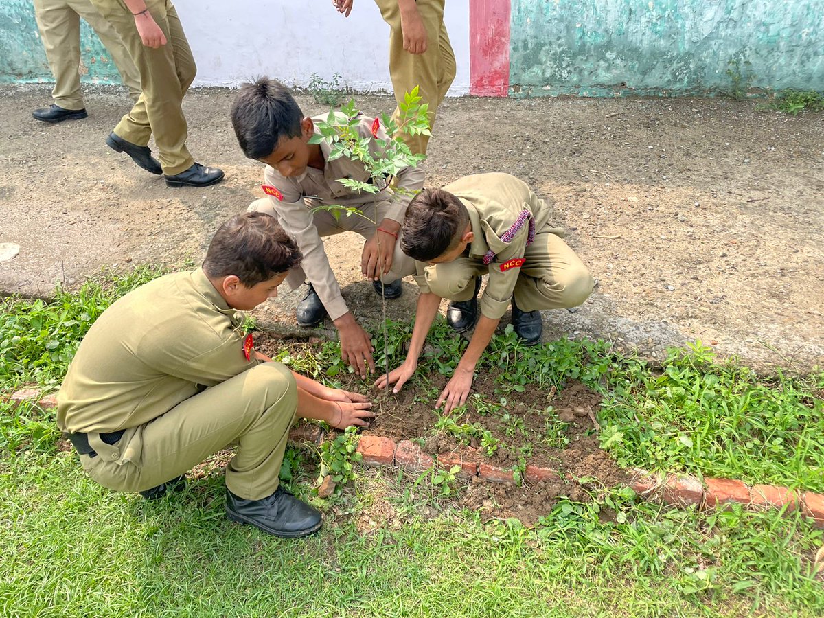CPhhp's tweet photo. #NCCforEnvironment #NCCActivity NCC Cdts of Army Public School Ambala Cantt, Ambala Gp carried out a Tree plantation dive where 35 saplings were planted. 43 cadets participated in the event and contributed to the Environment. @drajaykumar_ias @HQ_DG_NCC @prodefencechan1 https://t.co/Hw9j1rfY7a