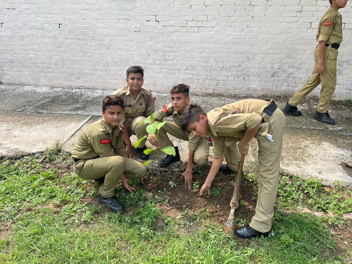 CPhhp's tweet photo. #NCCforEnvironment #NCCActivity NCC Cdts of Army Public School Ambala Cantt, Ambala Gp carried out a Tree plantation dive where 35 saplings were planted. 43 cadets participated in the event and contributed to the Environment. @drajaykumar_ias @HQ_DG_NCC @prodefencechan1 https://t.co/Hw9j1rfY7a