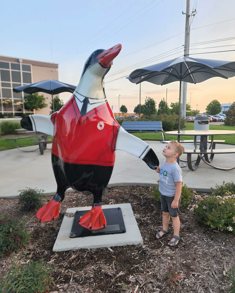 Jaymeeintulsa's tweet photo. Say hi to Waddlesworth! 

Did you know Tulsa, OK has a ton of these 🐧 around town? 

They sold these in 2002 as a fundraiser for the Tulsa Zoo. 
#tulsa #tulsaoklahoma #tulsasmallbusiness #tulsamom #oklahoma #oklahomacity https://t.co/8RxCt13y0C