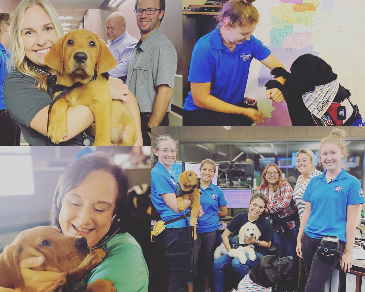 GP911Comm's tweet image. Happiness is …wagging’ tails &amp;amp; wet kisses from our sweet 4-legged friends at @PatriotPAWS 🇺🇸 🐶
