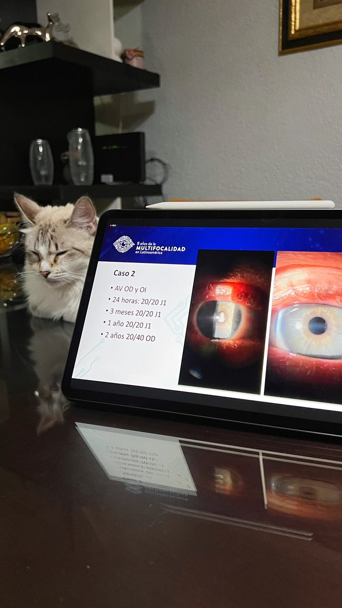 alandroper's tweet photo. A mi compañera de estudio ya le dió sueño https://t.co/MXZvsxeGOl