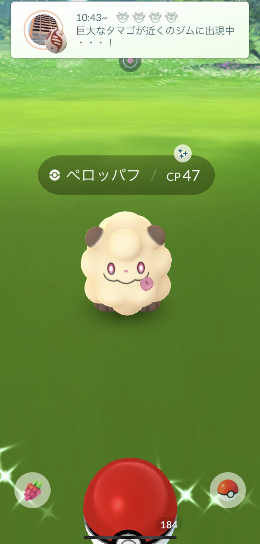 Getpoke Poke垢 カワイイ W ポケモンgo ペロッパフ 色違い T Co Vib1fhukns Twitter
