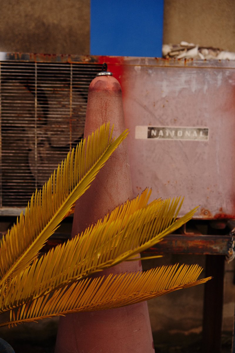 Harrison Boyce tweet media