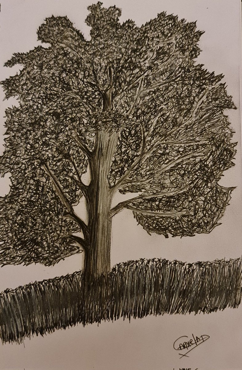 ShiningStarSJFE's tweet photo. #dessin #drawing #draw #drawings #dessiner #inspiration #drawingoftheday #drawthisinyourstyle #drawingsketch #draweveryday #draws #learninghowtodraw #learning #artlovers #artworks #pencildrawing #draweveryday #pencilsketch #pencils #drawingart #drawsomething #naturedrawing https://t.co/HXn2tOEaFC