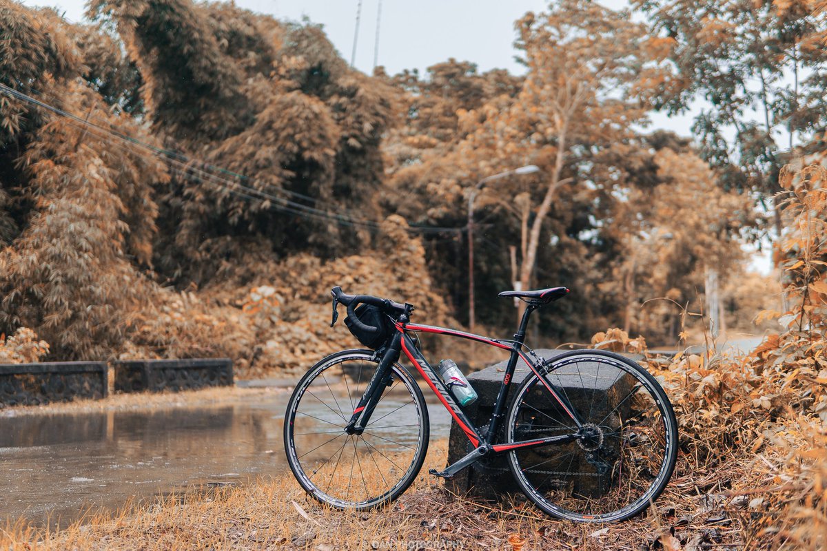 dantoearth27's tweet photo. One of the best days to ride is on a rainy day.

#cycling #meridascultura #roadbike #lightroom #photography #SonyAlpha #Sony #sports #sportsphotography https://t.co/0TMNflcukt