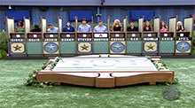 danieliconbrown's tweet photo. remember the good ol days when the camera used to pan to this in the backyard after an eviction?? #BB24 https://t.co/vlHz19GSsZ