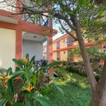 Photo by Tenack Beach Resort & Hotels (@Tenackbeach)