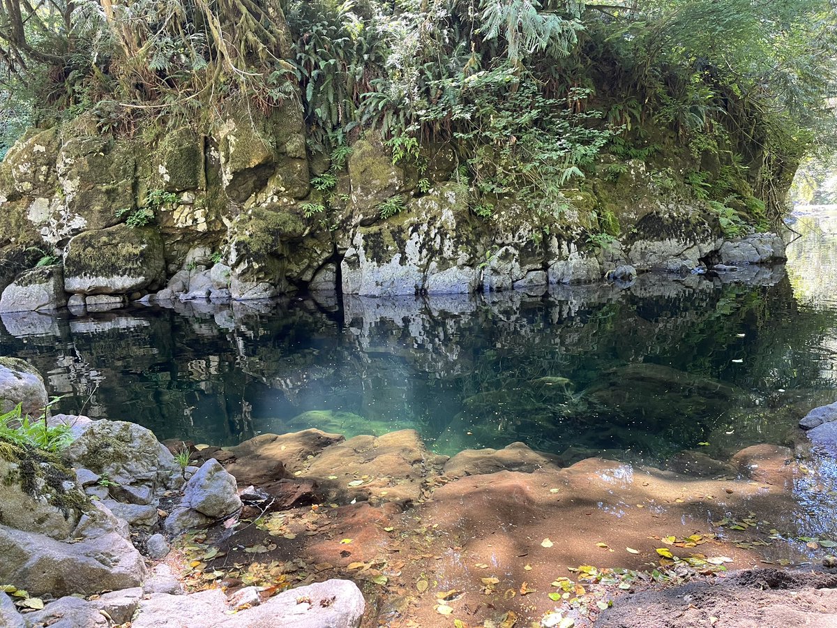 buckshotmonster's tweet photo. Yet another perfect swimming hole. We had to get lost a few times to find this. No one around for miles, so no clothes. #skinnydips #camping #pnw #secret https://t.co/vnYCo1R6CA