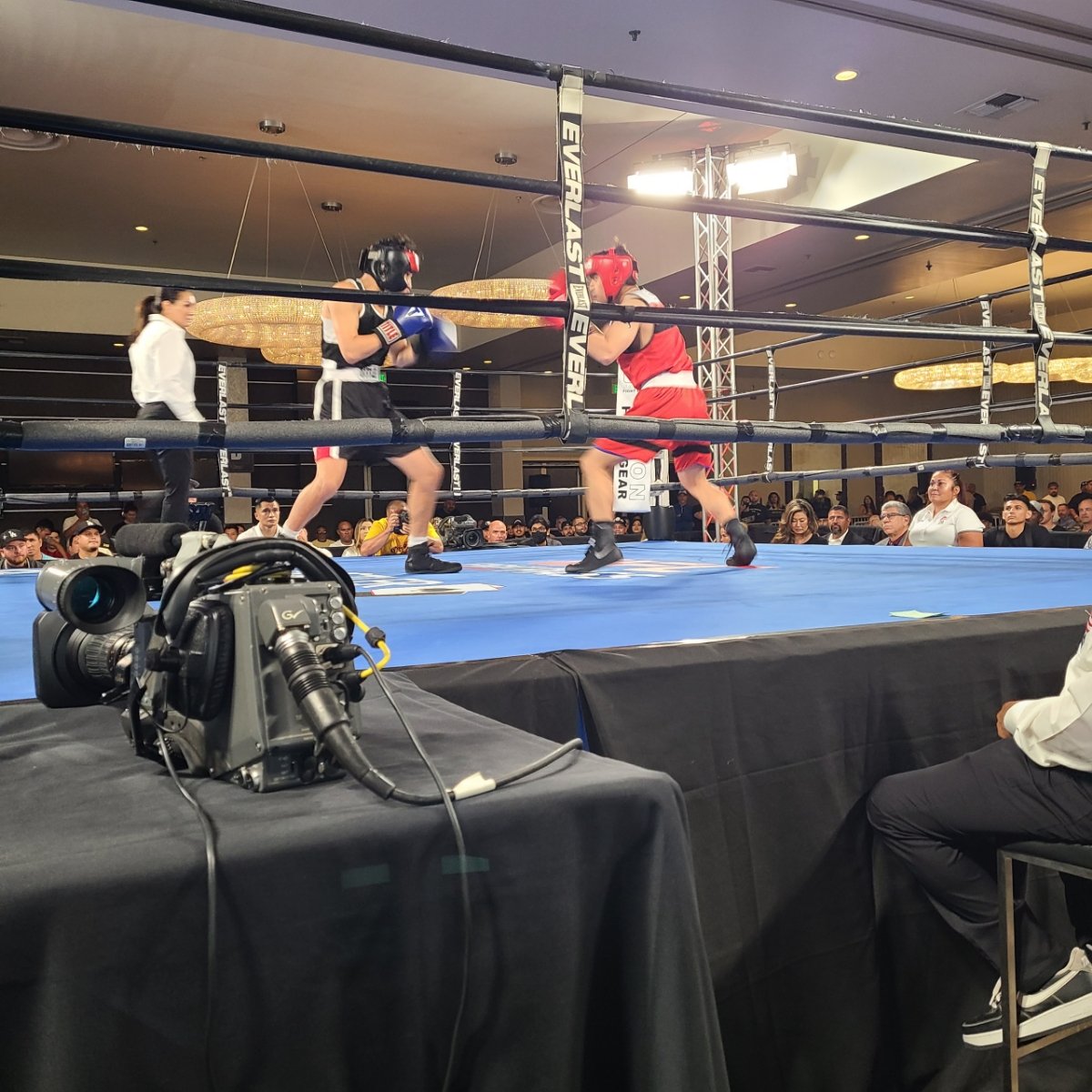 front row sports boxing