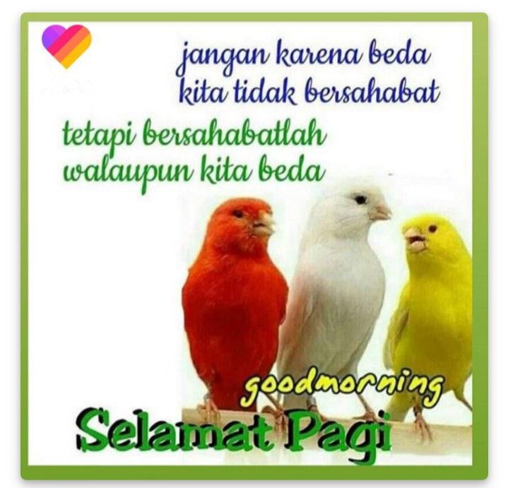 wotinwoo's tweet photo. Apa kabarmu? @Greatestival https://t.co/TyIH56VssE