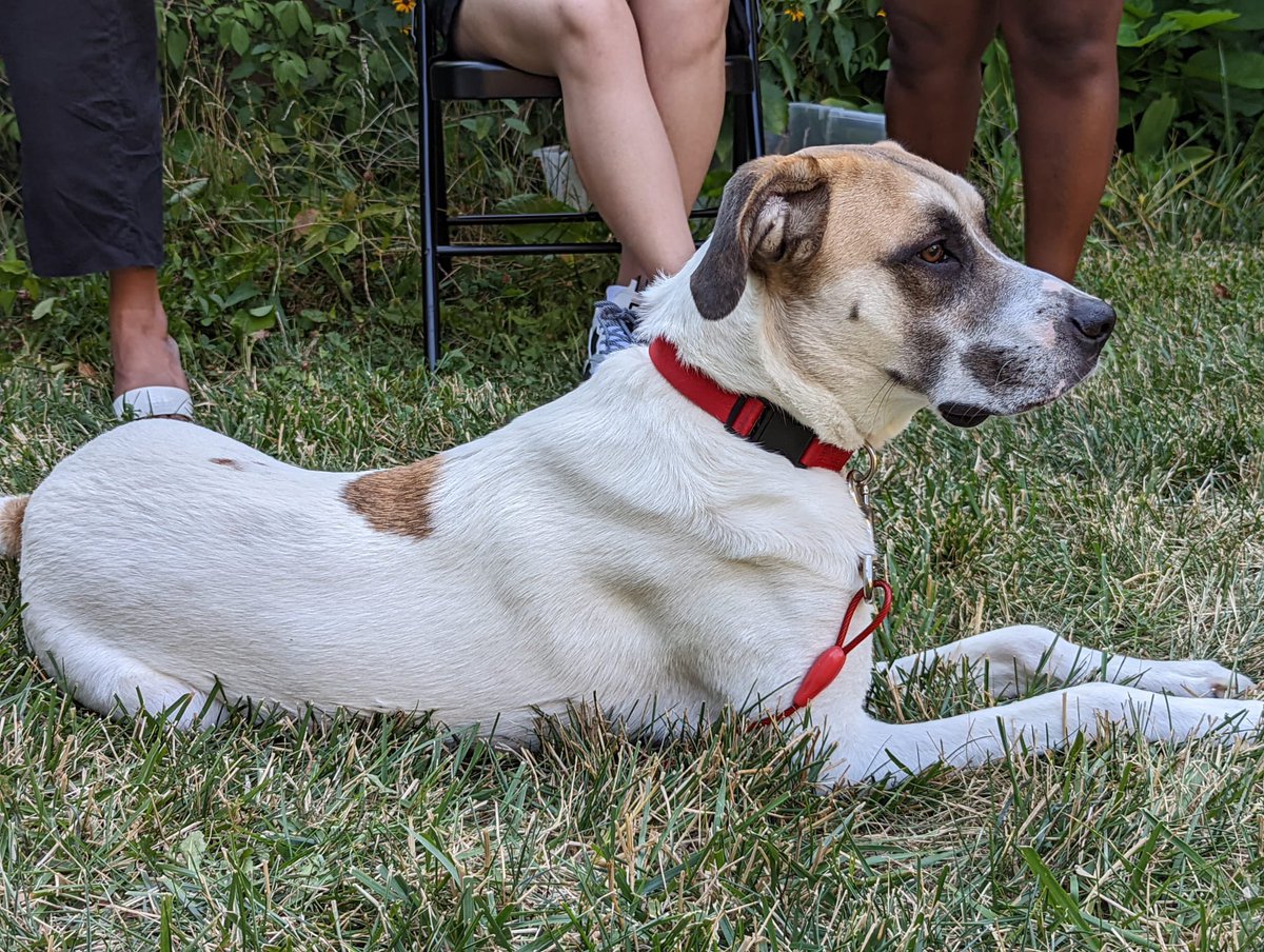 The Eichhorn lab and Yesselman lab had BBQ today. Thanks to <a href="/CdEichhorn/">Dr. Catherine Eichhorn</a>,  <a href="/JosephYesselman/">Joseph Yesselman</a> and Max for hosting us! The food was really amazing and it was fun catching up.