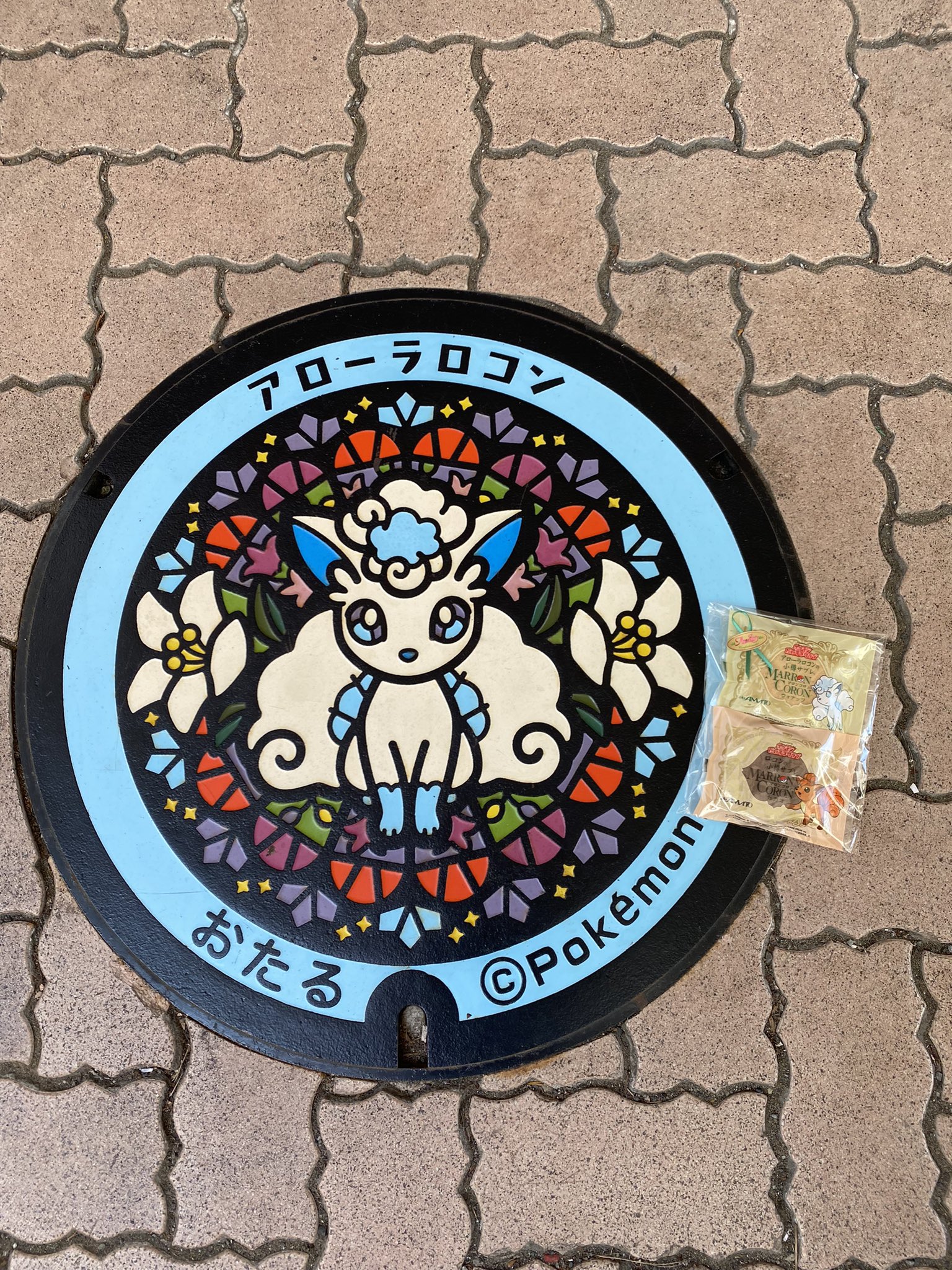 Taka ポケモンgo 小樽アローラロコンポケふた ポケモンgo ポケふた アローラロコン T Co Skfvjp5qvk Twitter