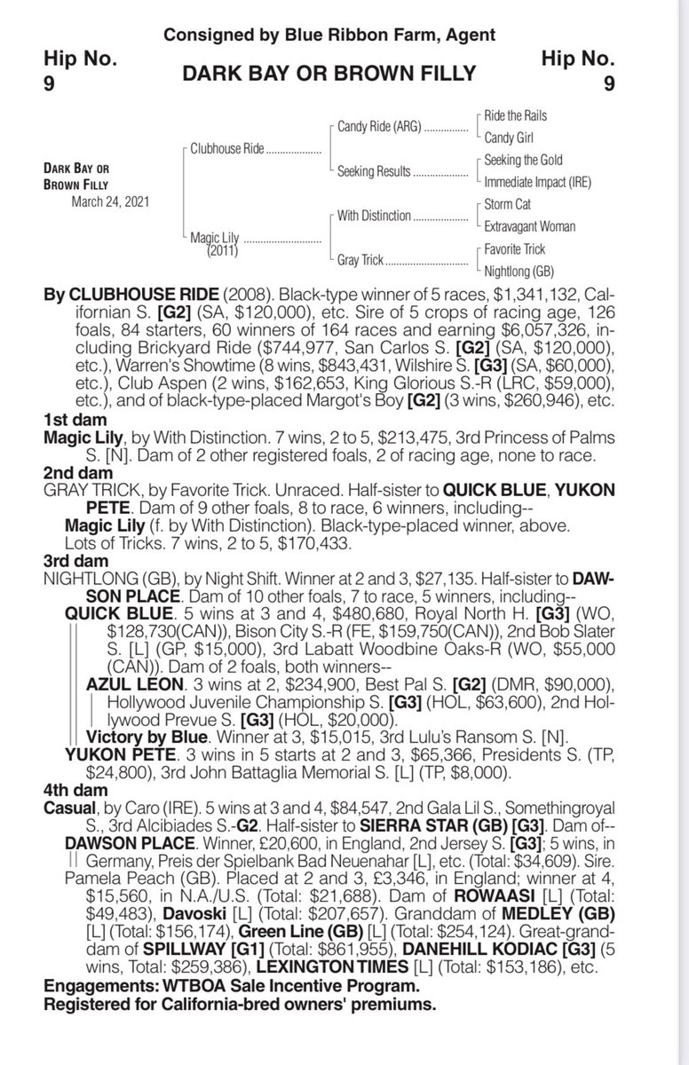 WTBOA's tweet photo. Catalog update - Hip 9 has a new winner under her first dam as BOOK SMART broke his maiden @EmeraldDowns on 7/17 https://t.co/hZqN6Mv7FB