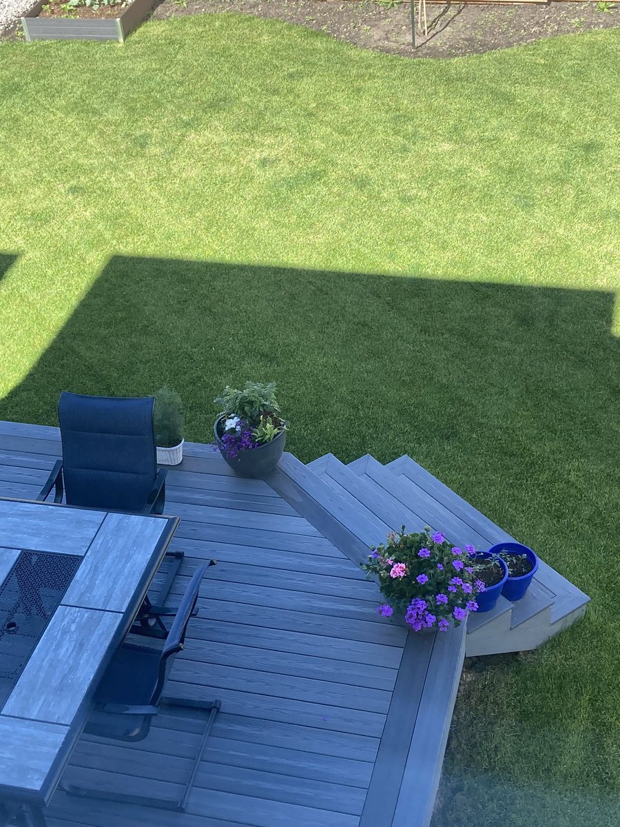 Adam Pederson tweet media