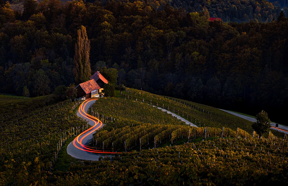 JassiOberai.ΞTH tweet media