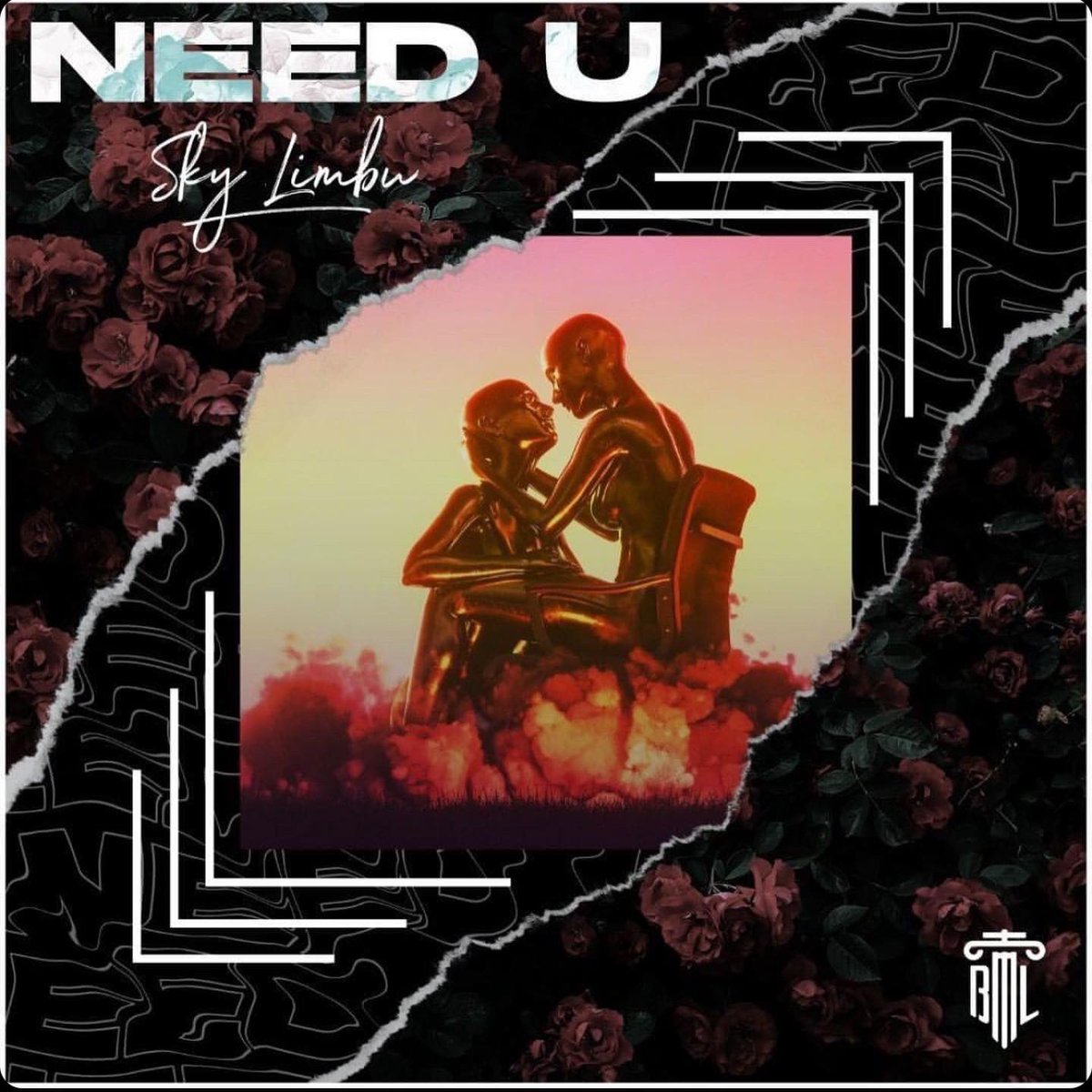 sky_limbu's tweet photo. my new single "Need U" Is finally out on @brightlandrecordsofficial hope you guys like it work hard on this track!!!

🔽Link to the track🔽
https://t.co/2tTqXEZVxy
.
.
#newrelease #newmusic #tunes #beats #drop #edm #futurebass https://t.co/BHBobCKvPI