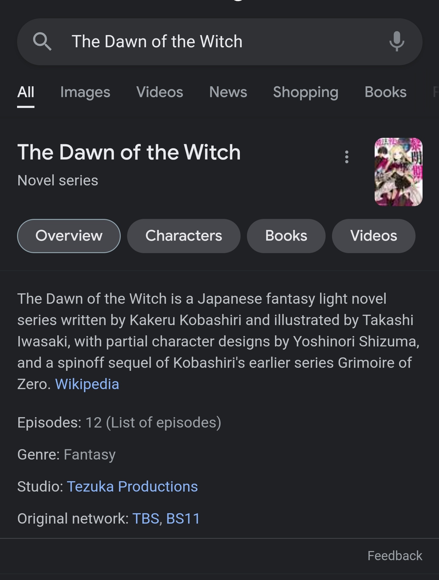 The Dawn of the Witch Mini Anime