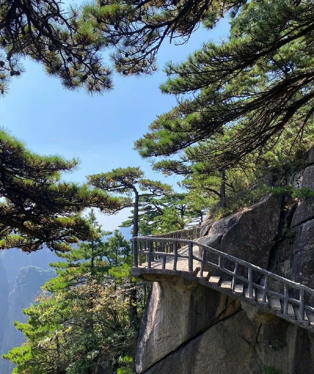 ExpatsHoliday's tweet photo. When you hear “ #YellowMountain”, you might picture yourself hiking in some beautiful nature destination in #China. #travelphotography #AmazingChina https://t.co/3rVpsytCcz