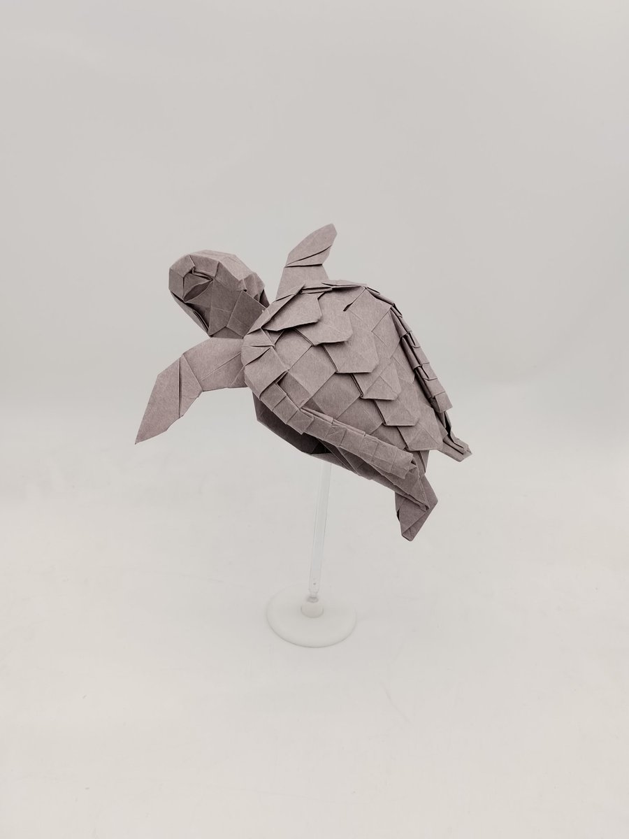 快乐的酥酥 tweet media