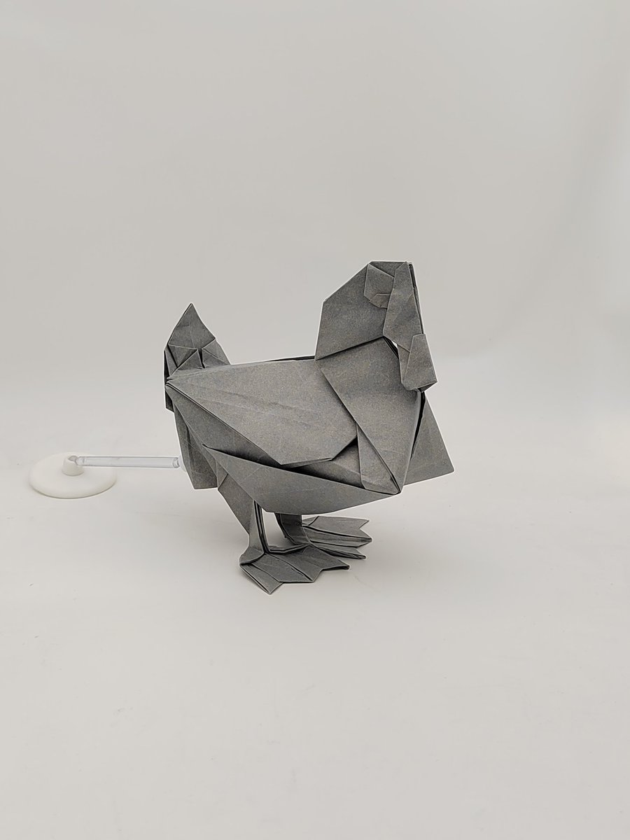 快乐的酥酥 tweet media