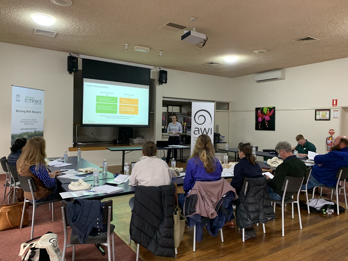 AWIExtensionNSW's tweet photo. We are Winning With Weaners at Cootamundra today! 

Thanks to Laura Broughton from Productive Livestock Systems for presenting at today's workshop.

Great to see producers filling up their toolboxes with knowledge at these events!

Find an event near you 👇https://t.co/eElLG591A2 https://t.co/kvHYei0UHB