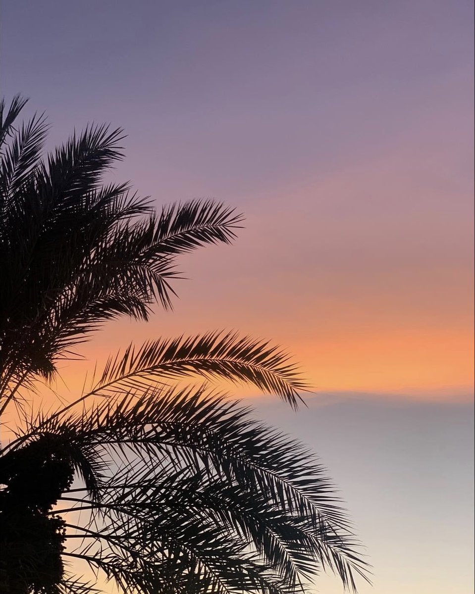 كل الأشياء السيئة الّتي تحصل في حياتك والأحداث الحزينة والمؤلمة لها جانب مشرق لايعلمه الا الله إبتسم وتفاءل ...🌿🕊🪷

من تصويري 📸