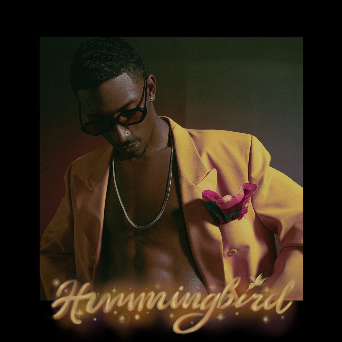 exquisite_eye's tweet photo. hummingbird out now. https://t.co/BD9bn3BzME