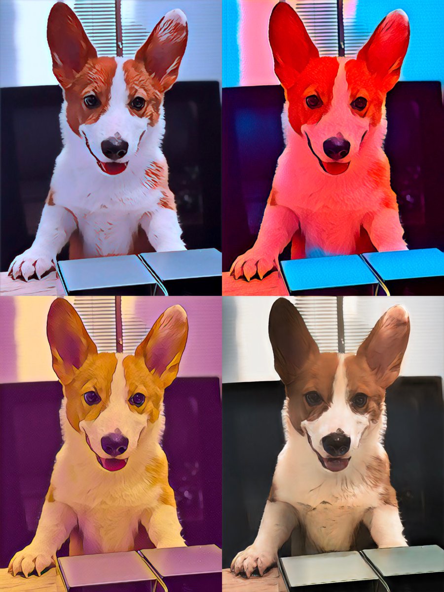 KanjiDeng's tweet photo. First time trying Cyberpunk😎
#pet #petproducts #dog #cat #fun #Cyberpunk #cute https://t.co/7ZOerUUPsj