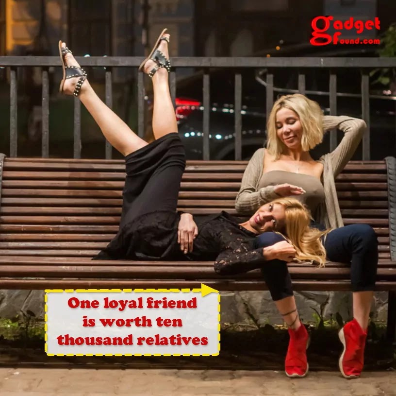 FoundGadget's tweet photo. One loyal friend is worth ten thousand relatives.
https://t.co/fiQ71Hn4jT
#friends #friendship #friendships #friendshipday #friendshipgoals #friendsforever #friendshipday2022 #friendshipquote #friendshipquotes #friendshipstatus #happyfriendshipday #friendshipdayspecial https://t.co/gNTz0WQOFI