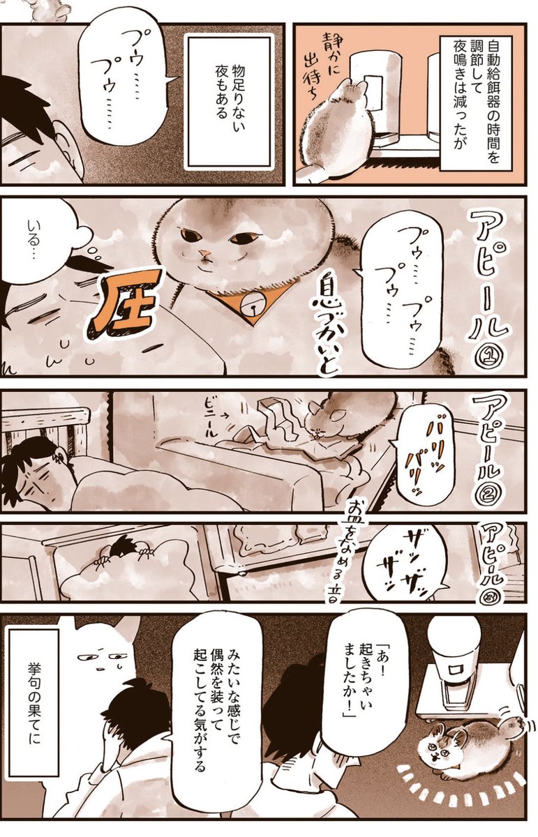 『猫よ寝ろ』(2/2)

#うちの猫は仲が悪い 