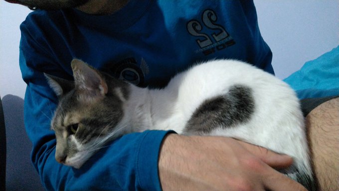 Te amo ! https://t.co/v48zqXpRYj