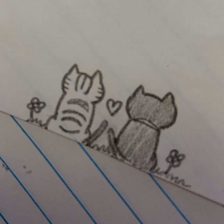 stiiiicker's tweet photo. feliz aniversário atrasado para essa pessoa que surgiu do nada na minha vida mas foi o maior presente amo muito mesmo tendo vários problemas na cabecinha vc mora dentro do meu coração <3 @beow97 https://t.co/JCaEzepgL7