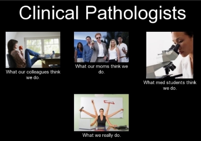 Public Pathology Aus on Twitter: Public Pathology Aus on Twitter: