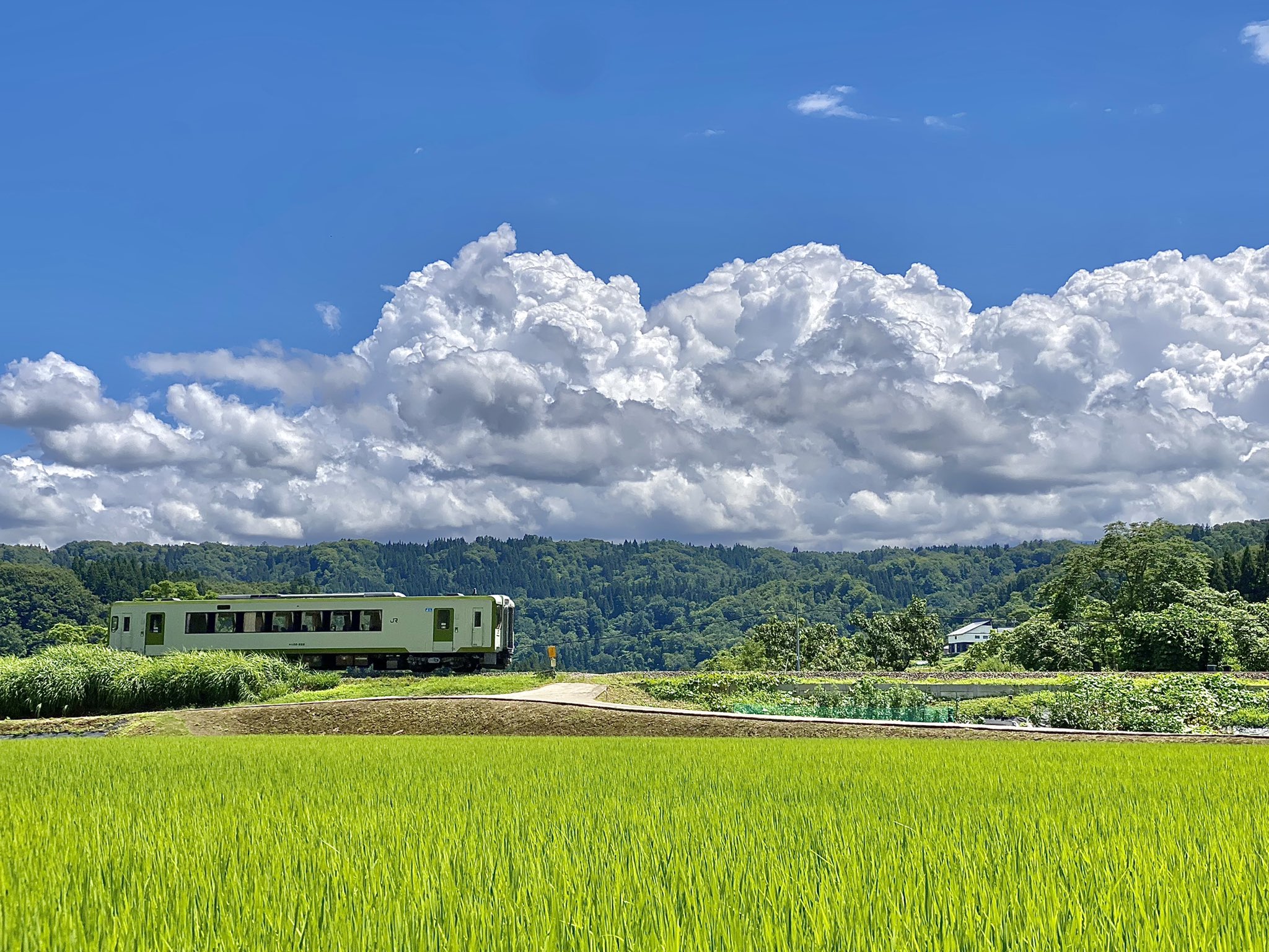 ちおい これぞ日本の夏 飯山線は素晴らしい スマホ鉄 T Co Wegzixrxw5 Twitter
