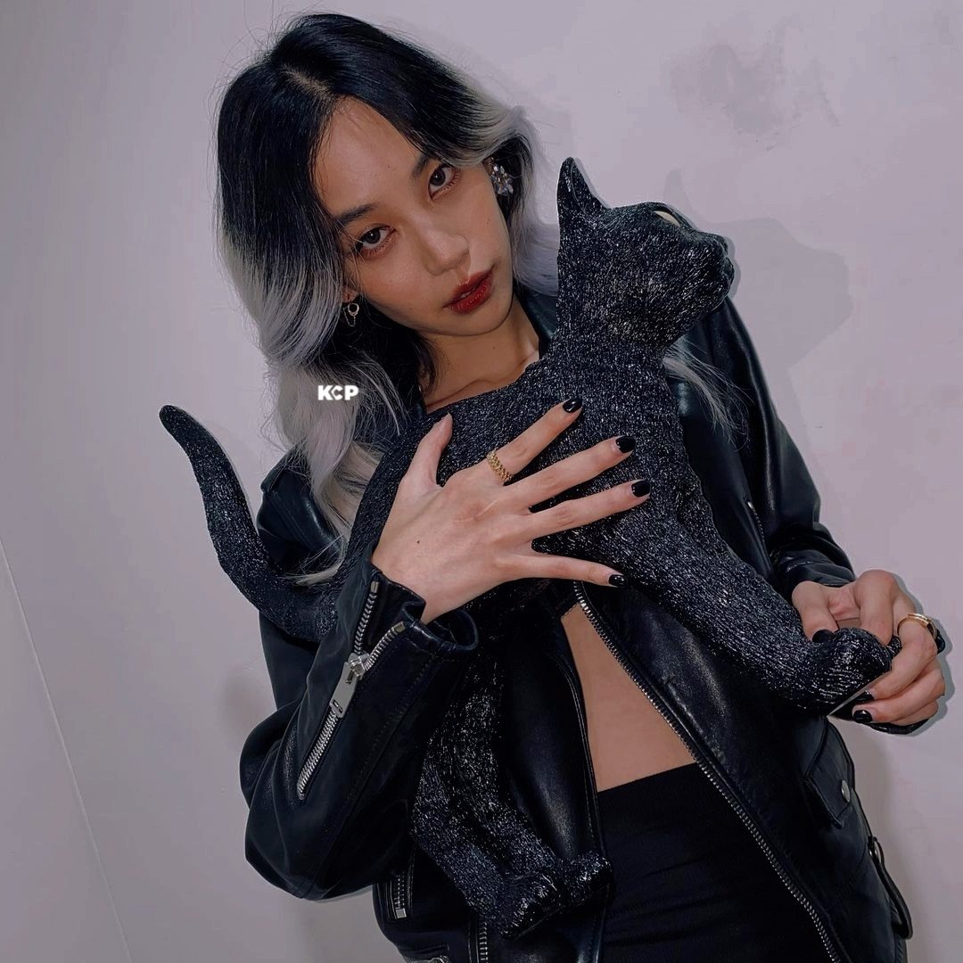 KittyChicha_PH's tweet photo. 29 and fine 🔥

#HappyKittyChichaDay https://t.co/BI2txi6cbo